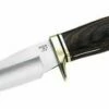 Buck Zipper, 420 HC, Cocobolo-Holz, Aufbrechhaken, Lederscheide -Morakniv Shop 2207