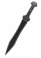 Haller Römischer Gladius 7 Haller Römischer Gladius – Bild 5