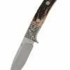 Chital Messer Mit Drop-Point-Klinge Und Hirschhorngriff 1 Chital Messer Mit Drop-Point-Klinge Und Hirschhorngriff -Morakniv Shop hn kh2507 hanwei messer forester drop point utility stag handle fixed blade pp 1