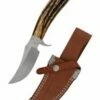 Blesbok Messer Mit Trailing-Point-Klinge Und Hirschhorngriff 2 Blesbok Messer Mit Trailing-Point-Klinge Und Hirschhorngriff -Morakniv Shop hn kh2509 hanwei messer outfitter trailing point skinner stag handle fixed blade pp