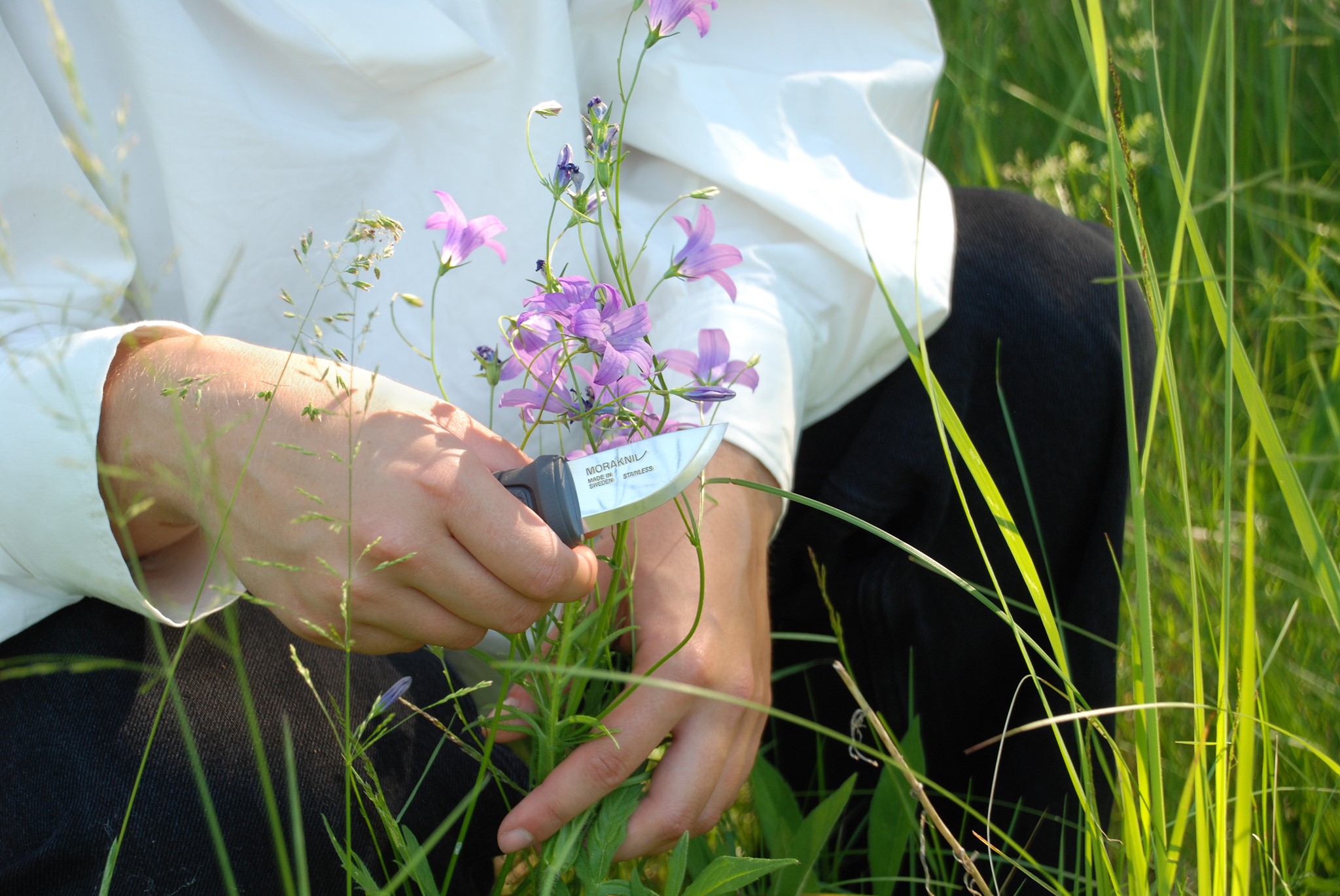 Morakniv Shop -Morakniv Shop Morakniv7